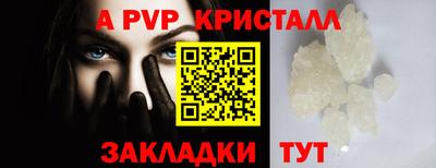 амф Гатчина
