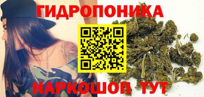 амф Гатчина