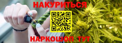 амф Гатчина