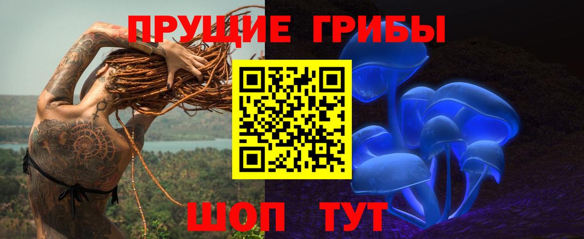 Назрань  Псилоцибиновые грибы Psilocybine cubensis  купить   Вход с VPN 